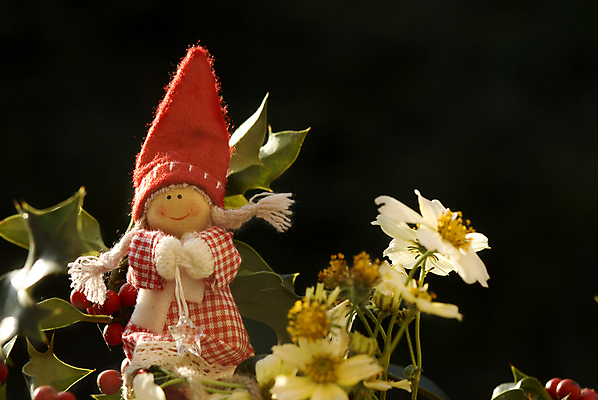 포토 JPG 해외이미지 모자 계절 행복 별 백그라운드 잎 크리스마스 겨울 자연 휴가 기념 요정 정장 사람없음 야외 초록색 장난감 뷰티 크리스마스트리 산타클로스 우주 수확 축하 인사 신용카드 마법 솜털 난쟁이 도우미 오리지널 클라우스 해외포토 자연요소 식물 잡화 옷 기념일 감정 컬러 컨셉 농업 금융 예절 생태계 파일형식 이미지허브