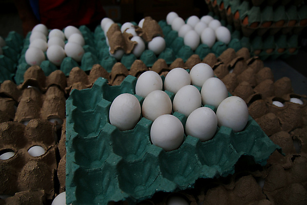 포토 JPG 해외이미지 실내 사람없음 쌓기 계란 어둠 계란판 해외포토 모션 내부 알 파일형식 이미지허브