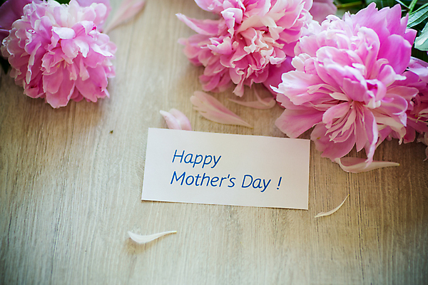 포토 JPG 해외이미지 꽃잎 종이 분홍색 백그라운드 프레임 사랑 사람없음 사각형 감사 비네팅 작약 레터링 어머니의날 해외포토 도형 기념일 꽃 감정 컬러 촬영기법 미국문화 파일형식 이미지허브