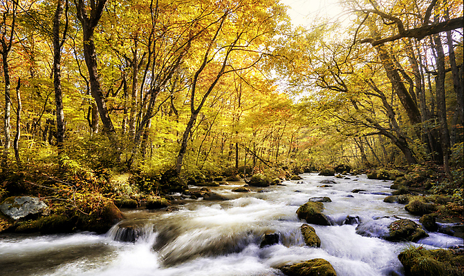 포토 JPG 해외이미지 주간 단풍 단풍나무 사람없음 야외 강 계곡 해외포토 자연요소 나무 잎 파일형식 이미지허브