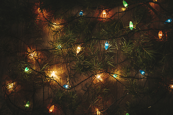 포토 JPG 해외이미지 겨울 전구 사람없음 빛 크리스마스트리 어둠 나뭇가지 분위기 나무바닥 해외포토 나무 계절 컨셉 크리스마스 바닥 파일형식 이미지허브