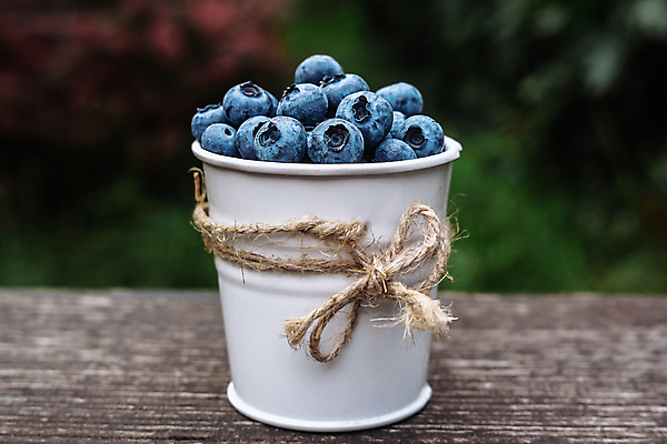 포토 JPG 해외이미지 식물 열매 음식 잎 농업 다이어트 과일 자연 디저트 건강 이끼 사람없음 초록색 파란색 농작물 정원 검은색 수확 성장 신선 수비 닫기 달콤 숲 다발 수집 먹기 관목 유기농 블루베리 암 내추럴 숙성 맛있는 해외포토 나무 웰빙 산업 컬러 모션 맛 질병 생태계 파일형식 이미지허브