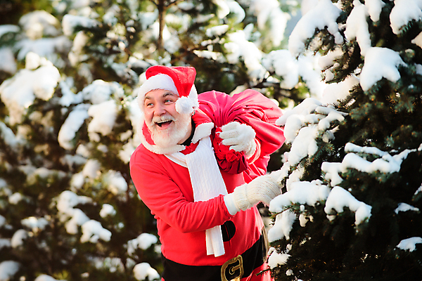 포토 JPG 해외이미지 나무 전통 할아버지 행복 크리스마스 겨울 가방 산타모자 자연 휴가 새로움 새해 선물 한명 사람 풍경 이벤트 야외 빨간색 장난감 산타클로스 걷기 기쁨 축하 인사 숲 흥분 서리 북쪽 마법 폭설 눈내림 클라우스 해외포토 식물 모자_잡화 1 잡화 계절 기념일 노년 남자 감정 컬러 컨셉 모션 눈_날씨 예절 자연재해 방향 생태계 파일형식 이미지허브