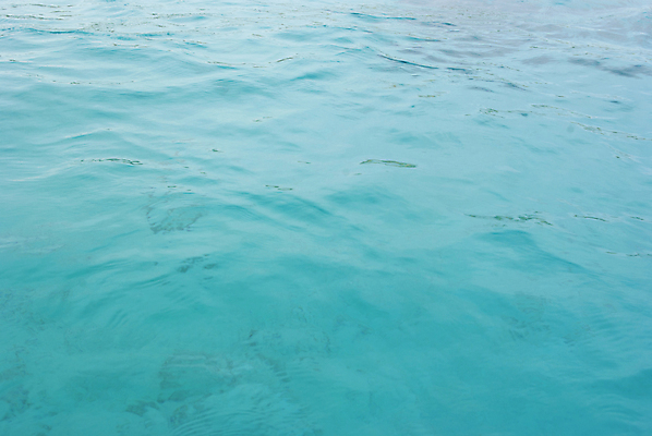 포토 JPG 해외이미지 호수 물결 파도 바다 백그라운드 패턴 모션 자연 조류 표면 추상 사람없음 야외 물 파란색 뷰티 어둠 침묵 흐름 오픈 시원함 홍수 유기농 질감 내추럴 깊이 무한 영원 잔물결 진짜 해외포토 자연요소 동물 웰빙 컬러 컨셉 무늬 소리 자연재해 생태계 파일형식 이미지허브