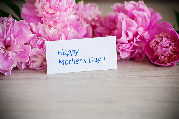 포토 JPG 해외이미지 꽃잎 종이 분홍색 백그라운드 프레임 사랑 사람없음 사각형 감사 비네팅 작약 레터링 카피스페이스 어머니의날 해외포토 도형 기념일 꽃 감정 컬러 촬영기법 공백 미국문화 파일형식 이미지허브