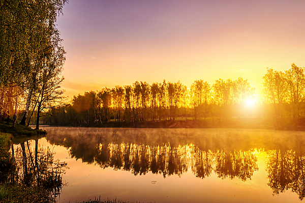 포토 JPG 해외이미지 나무 자연 하늘 사람없음 야외 강 햇빛 태양 일몰 해외포토 자연요소 식물 노을 생태계 파일형식 이미지허브