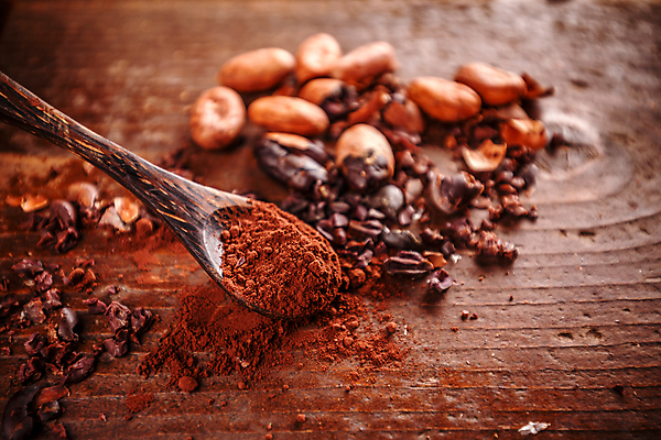 포토 JPG 해외이미지 사람없음 아웃포커스 초콜릿 나무숟가락 카카오열매 코코아가루 카카오닙스 나무배경 해외포토 열매 백그라운드 디저트 촬영기법 숟가락 견과류 가루 카카오 파일형식 이미지허브