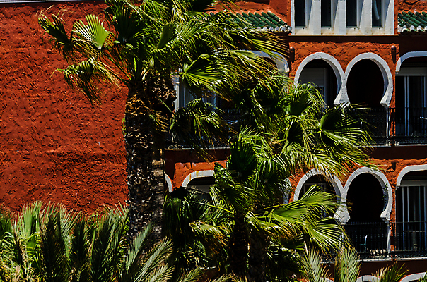 포토 JPG 해외이미지 나무 식물 여행 백그라운드 컨셉 잎 하늘 추상 휴가 휴식 왕관 손바닥 사람없음 야외 초록색 야자수 맑음 올려보기 수확 장면 코코넛 석호 내추럴 이국적 파라다이스 스타일 효과 해외포토 손 컬러 무늬 농업 과일 모션 날씨 파일형식 이미지허브