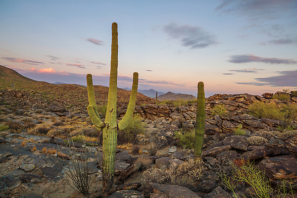포토 JPG 해외이미지 공원 여행 건축양식 자연 산 건조 풍경 사람없음 야외 건물 가로 여름 도시풍경 컬러풀 일출 고층빌딩 미국 일몰 새벽 사막 도시 도심 전철 암초 타운 애리조나 대도시 스카이라인 남쪽 봉황 수평선 해외포토 자연요소 건축물 계절 공공시설 건축 육상교통 컬러 북아메리카 대중교통 빌딩 노을 방향 생태계 파일형식 이미지허브