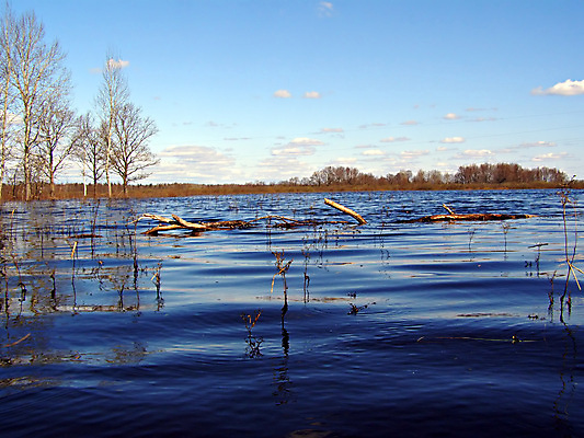 포토 JPG 해외이미지 나무 구름 계절 공원 호수 파도 잎 자연 하늘 기술 사람없음 야외 물 파란색 강 햇빛 뷰티 반사 평화 수영 침묵 거울 하이킹 오픈 화려 황무지 보호 홍수 싱글 질감 러시아 심플 마법 엘리먼트 해외포토 자연요소 식물 공공시설 유럽 바다 컬러 컨셉 레저 태양 소리 수상스포츠 자연재해 생태계 파일형식 이미지허브