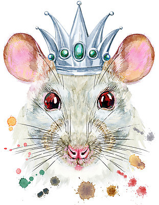 포토 JPG 해외이미지 백그라운드 일러스트 왕관 미술 사람없음 반려동물 쥐 해외일러스트 동물 문화예술 설치류 파일형식 이미지허브