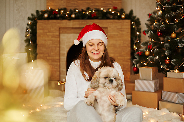 포토 JPG 해외이미지 나무 동물 라이프스타일 응시 여자 행복 크리스마스장식 크리스마스 겨울 산타모자 주택 함께함 실내 매달리기 한명 사람 성인 장식 반려동물 인테리어 뷰티 크리스마스트리 소나무 작업 개 12월 스웨터 미녀 준비 벽난로 헬프 성인만 해외포토 식물 모자_잡화 1 디자인 시선 계절 기념일 감정 컨셉 상의 포유류 모션 내부 건물 생활 도움 날짜 미인 파일형식 이미지허브