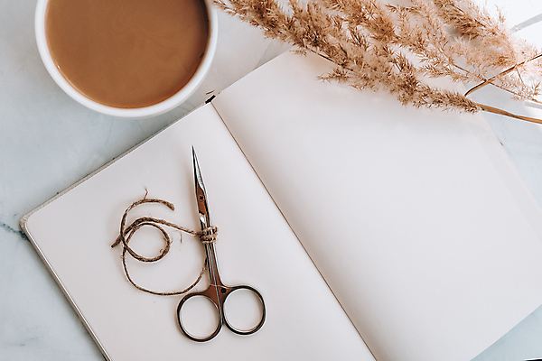 포토 JPG 해외이미지 식물 커피 실내 사람없음 하이앵글 다이어리 오브젝트 흰배경 노끈 해외포토 음료 줄 뷰포인트 백그라운드 내부 사무용품 흰색 파일형식 이미지허브