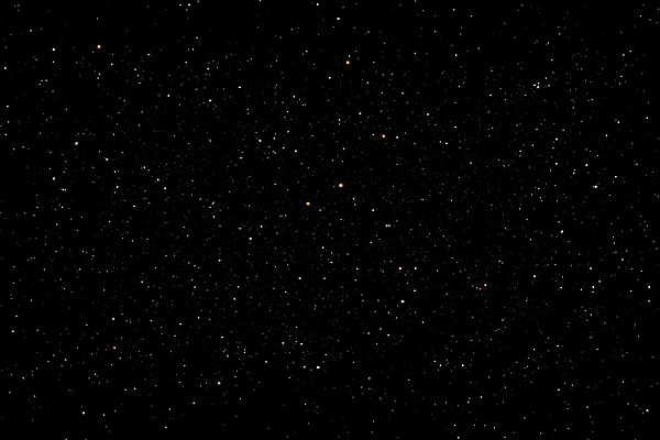 포토 JPG 해외이미지 나무 별 과학 여행 백그라운드 자연 하늘 추상 새로움 풍경 사람없음 야외 여름 파란색 빛 반짝임 세계 글로벌 우주 검은색 어둠 그룹 야간 남색 사이버 코스모스 질감 은하계 공상 천문학 광 깊이 무한 방법 가상 많음 해외포토 자연요소 식물 계절 교육 꽃 컬러 컨셉 무늬 모션 생태계 파일형식 이미지허브