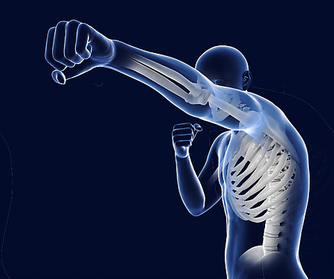 포토 JPG 해외이미지 디자인 남자 실루엣 스포츠 포즈 백그라운드 이동 컨셉 신체 일러스트 해부 근육 골격 건강 사람 사람없음 파란색 운동 3D 힘 권투 마네킹 연습 척추 체육관 역동적 싸움 근육질 에어로빅 팔 고립 승자 운동가 이두근 챔피언 킥복싱 필승 해외포토 컬러 의학 모션 뼈 촬영기법 신체부위 격투기 춤 우승 몸매 디지털합성 파일형식 이미지허브