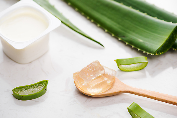 포토 JPG 해외이미지 단면 실내 사람없음 화장품 자르기 흰배경 나무숟가락 요거트 알로에 에스테틱 알로에베라 해외포토 식물 백그라운드 모션 유제품 내부 뷰티 숟가락 흰색 파일형식 이미지허브