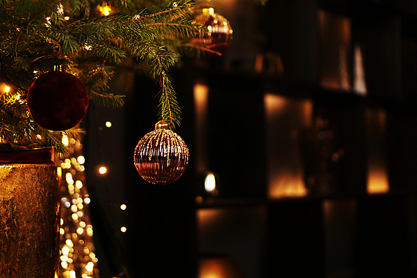 포토 JPG 해외이미지 크리스마스장식 크리스마스 겨울 사람없음 장식 크리스마스트리 어둠 분위기 오너먼트 해외포토 계절 기념일 컨셉 파일형식 이미지허브