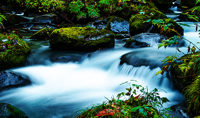 포토 JPG 해외이미지 주간 단풍 단풍나무 사람없음 야외 강 계곡 해외포토 자연요소 나무 잎 파일형식 이미지허브
