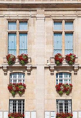 포토 JPG 해외이미지 외관 꽃 유럽 건축양식 창문 거리 주택 사람없음 건물 파란색 빛 노란색 정원 프랑스 수확 흰색 도시 재산 타운 프랑스어 옛날 진짜 파리(프랑스) 해외포토 식물 문자 건축물 건축 나라 컬러 농업 금융 파일형식 이미지허브
