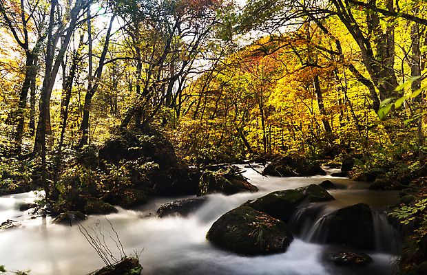 포토 JPG 해외이미지 주간 단풍 단풍나무 사람없음 야외 강 계곡 해외포토 자연요소 나무 잎 파일형식 이미지허브