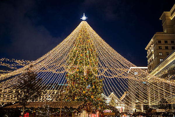 포토 JPG 해외이미지 나무 계절 감정 유럽 크리스마스 겨울 공 추상 휴가 조명 새로움 새해 거리 선물 사람없음 야외 건물 장식 빛 크리스마스트리 축제 화환 어둠 기쁨 낭만 램프 축하 도시 시장 황금 도심 야간 저녁 소프트포커스 12월 연도 보케 타운 공평 블러 해외포토 자연요소 식물 건축물 기념일 꽃 나라 컨셉 무늬 촬영기법 날짜 파일형식 이미지허브