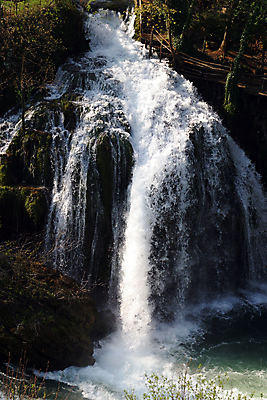 포토 JPG 해외이미지 나무 공원 호수 잎 자연 휴가 산 풍경 사람없음 초록색 물 여름 파란색 폭포 숲 알프스 천국 크로아티아 내추럴 석회암 전국 파라다이스 해외포토 자연요소 식물 계절 공공시설 유럽 컬러 암석 생태계 파일형식 이미지허브