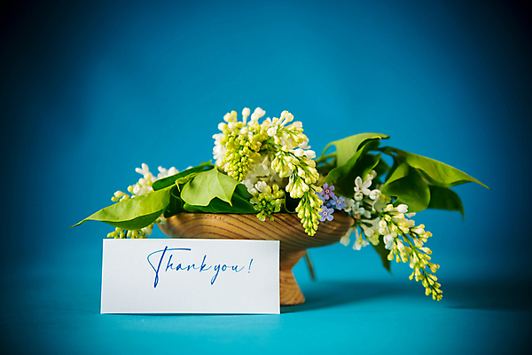 포토 JPG 해외이미지 종이 백그라운드 프레임 사랑 사람없음 사각형 꽃병 감사 라일락 비네팅 레터링 해외포토 도형 꽃 감정 촬영기법 파일형식 이미지허브