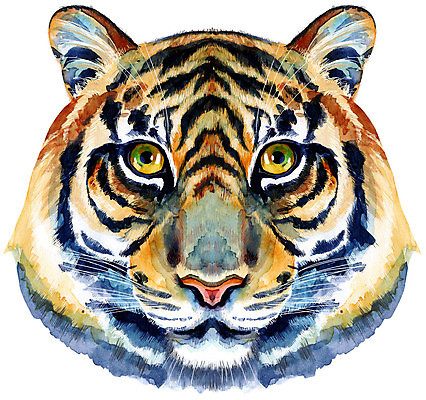 포토 JPG 해외이미지 캐릭터 디자인 일러스트 수채화 미술 사람없음 호랑이 해외일러스트 포유류 문화예술 파일형식 이미지허브