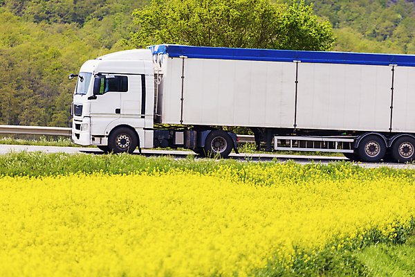 포토 JPG 해외이미지 산업 도로 육상교통 교통수단 밭 비즈니스 교통시설 풍경 사람없음 초록색 노란색 봄 트럭 화물 흰색 바퀴 고속도로 상업 짐차 무거움 트레일러 디젤 해외포토 계절 길 컬러 교통 농업 자동차 운송업 무게 시설 파일형식 이미지허브