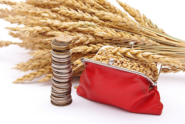 포토 JPG 해외이미지 식물 빵 줄기 컨셉 농업 건강 씨앗 사람없음 빨간색 금융 노란색 식사 수확 껍질 흰색 시골 못 지갑 구매 농부 밀 고객 알맹이 귀 밀짚 내추럴 고립 수입 호밀 해외포토 직업 산업 음식 컬러 곡류 신체부위 경제 쇼핑 공구 짚 파일형식 이미지허브