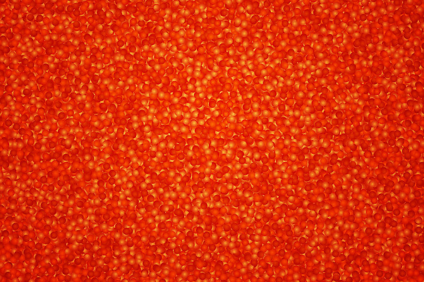 포토 JPG 해외이미지 음식 백그라운드 오렌지 일러스트 재료 건강 어류 미술 사람없음 빨간색 식당 식사 저녁식사 신선 재산 고급 아침식사 먹기 해산물 준비 날것 연어 점심식사 러시아인 송어 식품점 짠맛 캐비아 해외일러스트 서양인 컬러 컨셉 과일 식재료 모션 문화예술 금융 상점 수중동물 맛 파일형식 이미지허브