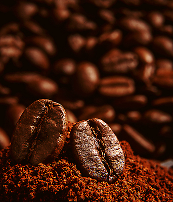 포토 JPG 해외이미지 커피 음료 음식 백그라운드 재료 아침 콩 씨앗 사람없음 갈색 검은색 어둠 카페 에너지 흰색 그룹 아침식사 낟알 굽기 오브젝트 질감 아로마 향 카푸치노 에스프레소 내추럴 고립 모카 카페인 해외포토 주간 식물 컬러 곡류 상점 식사 구이 파일형식 이미지허브