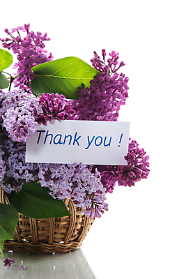 포토 JPG 해외이미지 종이 백그라운드 프레임 사랑 사람없음 바구니 사각형 보라색 감사 라일락 레터링 해외포토 도형 꽃 감정 컬러 파일형식 이미지허브