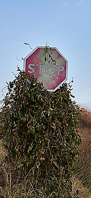 포토 JPG 해외이미지 라이프스타일 도로 여행 십자가 지도 패턴 통신 자국 하늘 프레임 사람 사람없음 야외 세로 파란색 컬러풀 미국 고요 일몰 줄무늬 운전 칼날 호주 보호 심볼 경계 신호 도로표지판 보안 봉 통과 교외 루트 전용 부족함 해외포토 길 컬러 컨셉 북아메리카 무늬 교통시설 모션 안전 생활 노을 표지판 오세아니아 파일형식 이미지허브