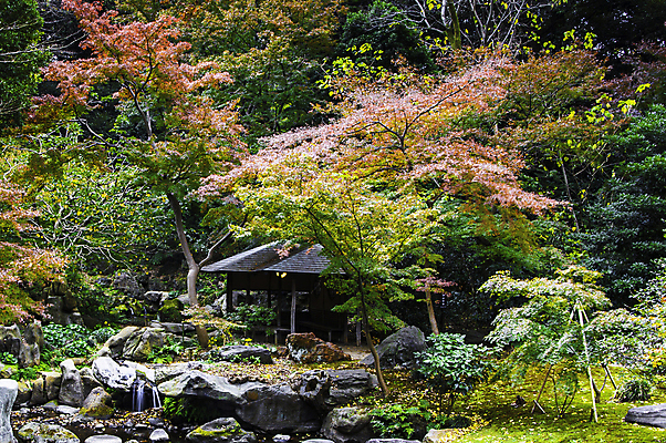 포토 JPG 해외이미지 주간 나무 사람없음 야외 돌_바위 해외포토 자연요소 식물 파일형식 이미지허브
