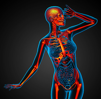 포토 JPG 해외이미지 해부 뼈 골격 엑스레이 건강 사람 사람없음 3D 척추 관절 무릎 테라피 정형외과 해골모형 해외202004 해외포토 의학 병원 신체부위 뷰티 모형 디지털합성 파일형식