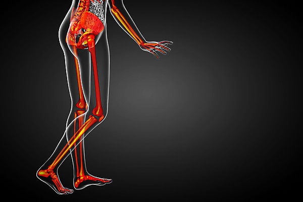 포토 JPG 해외이미지 해부 뼈 골격 엑스레이 건강 사람 사람없음 3D 척추 관절 무릎 테라피 정형외과 해골모형 해외202004 해외포토 의학 병원 신체부위 뷰티 모형 디지털합성 파일형식