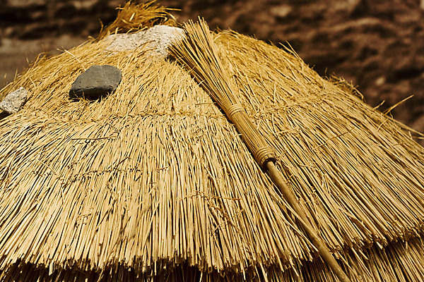 포토 JPG 해외이미지 밥 사람없음 농장 노란색 황금 팩 밀짚 해외202004 해외포토 음식 컬러 농업 화장품 짚 파일형식