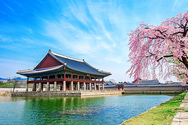 포토 JPG 해외이미지 서울 한국 사람없음 봄 궁전 벚꽃 도시 체리 성 역사 대문 남쪽 빛망울 땅바닥 랜드마크 옛날 해외202004 해외포토 건축물 계절 꽃 아시아 고건축 과일 바닥 빛 문 방향 파일형식