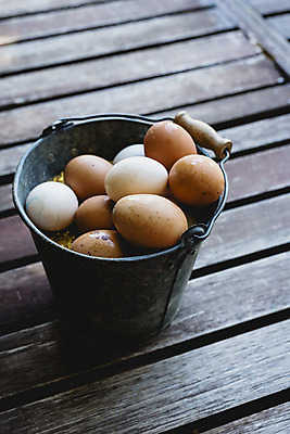 포토 JPG 해외이미지 음식 건강 사람없음 갈색 계란 신선 상품 양동이 유기농 날것 내추럴 해외202004 해외포토 웰빙 컬러 알 파일형식