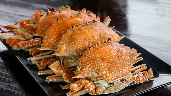 포토 JPG 해외이미지 동물 음식 건강 갑각류 요리 사람없음 빨간색 파란색 식당 식사 저녁식사 게 껍질 고명 해산물 삶기 집게발 해외202004 해외포토 컬러 상점 파일형식