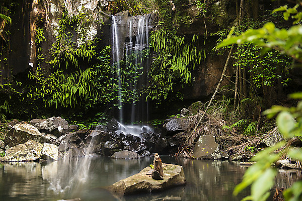 포토 JPG 해외이미지 공원 여행 잎 자연 산 풍경 사람없음 야외 초록색 물 환경 침묵 폭포 젖음 신선 개울 재산 호주 떨어짐 숲 열대우림 내추럴 전국 국경 해외202004 해외포토 자연요소 식물 공공시설 컬러 컨셉 금융 강 소리 오세아니아 생태계 파일형식