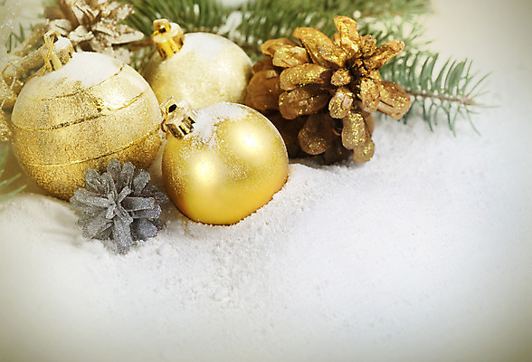 포토 JPG 해외이미지 나무 전통 조각 백그라운드 크리스마스 겨울 전구 공 자연 휴가 새로움 선물 사람없음 장식 파란색 빛 태양 노란색 우주 수확 흰색 축하 소나무 신용카드 화려 황금 은색 소프트포커스 기적 연도 복고 마법 전나무 원뿔 내추럴 블러 엘리먼트 옛날 국경 해외202004 해외포토 자연요소 도형 식물 계절 기념일 컬러 컨셉 농업 촬영기법 금융 생태계 파일형식