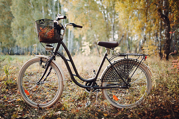 포토 JPG 해외이미지 1 라이프스타일 계절 공원 여자 도로 스포츠 여행 잎 교통시설 자연 휴가 휴식 건강 사람 사람없음 야외 햇빛 뷰티 유행 바구니 자전거 기쁨 수확 가을 승차 숲 순환 바이킹 해외포토 식물 공공시설 감정 길 교통 컨셉 농업 모션 생활 태양 바이크 시설 생태계 파일형식 이미지허브