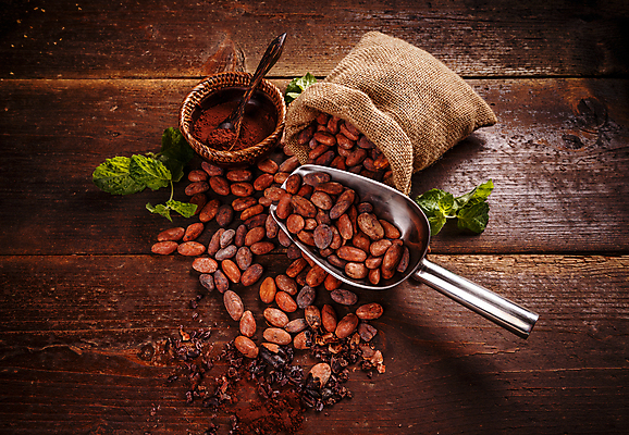 포토 JPG 해외이미지 사람없음 초콜릿 숟가락 허브 자루 비네팅 스쿱 카카오열매 카카오닙스 나무배경 해외포토 식물 열매 백그라운드 디저트 촬영기법 수저 견과류 카카오 파일형식 이미지허브