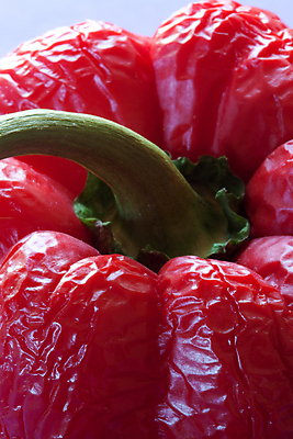 포토 JPG 해외이미지 음식 줄기 채소 요리 사람없음 빨간색 컬러풀 주름 질감 후추 강렬 썩음 옛날 해외포토 식물 컬러 향신료 파일형식 이미지허브