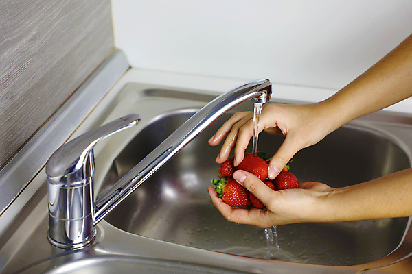 포토 JPG 해외이미지 손 딸기 신체부위 물 주방 신선 위생 씻기 세면대 해외포토 자연요소 과일 사람 청결 파일형식 이미지허브