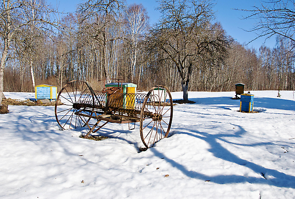 포토 JPG 해외이미지 나무 계절 음식 곤충 겨울 농업 자연 하늘 그림자 사람없음 목재 상자 컬러풀 농장 금속 정원 공구 시골 역사 오브젝트 꿀 1월 벌집 내추럴 2월 갈퀴 양봉 양봉장 옛날 해외포토 식물 동물 산업 컬러 재료 재질 도구 날짜 생태계 파일형식 이미지허브