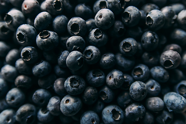 포토 JPG 해외이미지 실내 근접촬영 사람없음 하이앵글 검은색 신선 달콤 가득함 블루베리 해외포토 뷰포인트 컬러 과일 내부 맛 파일형식 이미지허브