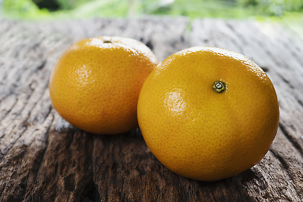 포토 JPG 해외이미지 1 음식 조각 백그라운드 잎 농업 오렌지 과일 부분 자연 귤 건강 사람없음 초록색 세트 노란색 주스 흰색 신선 달콤 맛 자르기 유기농 날것 슬라이스 C 내추럴 고립 숙성 완벽 채식주의자 해외포토 식물 웰빙 알파벳 산업 음료 컬러 컨셉 모션 생태계 채식 파일형식 이미지허브